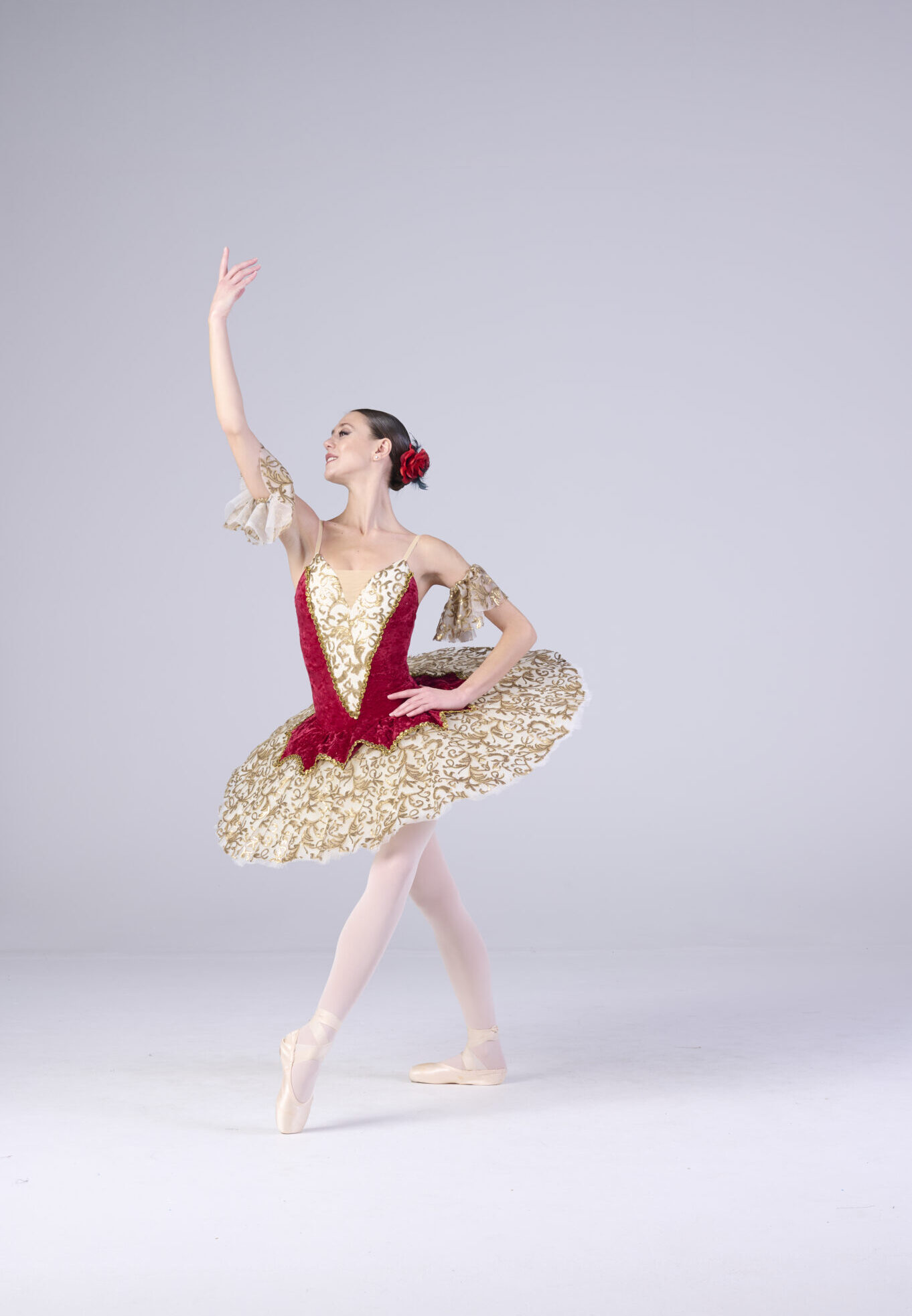 Tutu Professionnel de scène Harmony Baroque